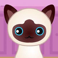 Play Guess the Kitty on Unblocked Games 76